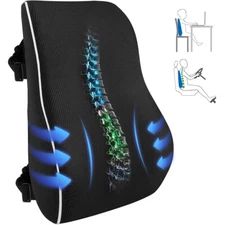 Memory Foam Lumbar Support Cushion for Home Office Car Seat Back Chair Pillow US