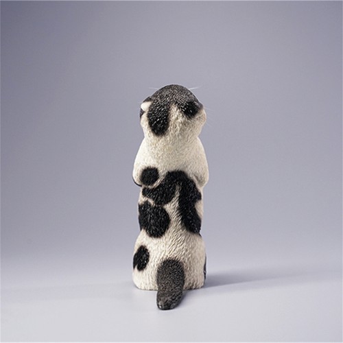 JXK 1/6 Scottish Fold Model Cute Cat 2.0 Animal Collector Decor GK Kids Toy Gift - Picture 27 of 29