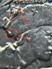 Foto 2 di 6