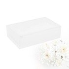  3 Pack Putzschwämme Küche Geschirrschrubber Wiederverwendbares Gerichtsschwamm
