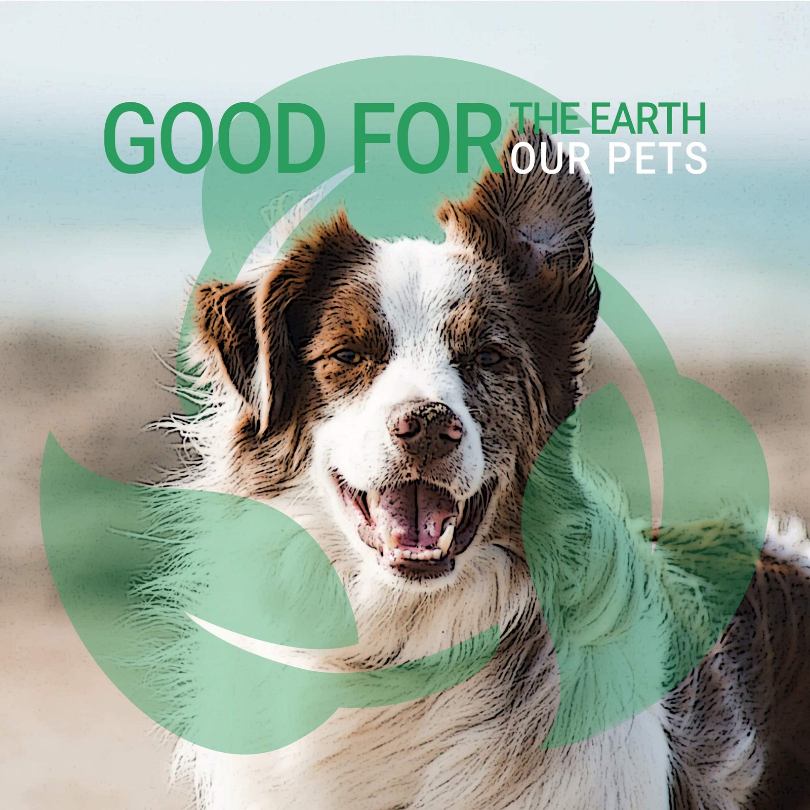 Green Groom Dog Shampoo Plus Conditioner, 1 Gallon | All Natural Ingredients,...