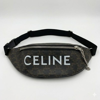 CELINE Triomphe Canvas Bag and Other Multicolor FREE Used