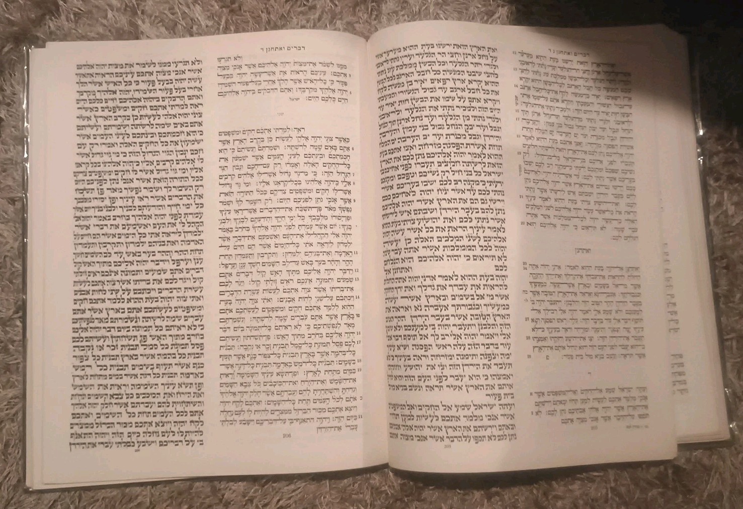 Foto 3 di 11