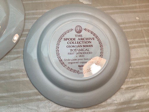 2 Vintage Spode Archive Collection Georgian Botanical Dinner Plates 10.5” T6 - Picture 6 of 7