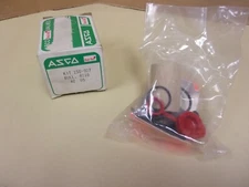 Asco Red Hat 158-927 Rebuild Kit