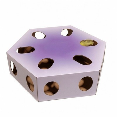 Katzenspielzeugkiste mit Feder Indoor sechseckige Katzenpuzzlebox kompakt für Kätzchen
