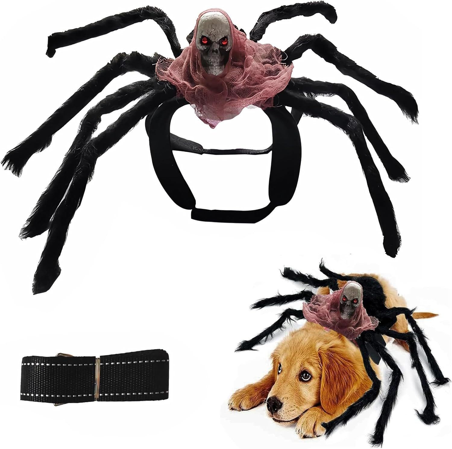 Costume Da Ragno Halloween per Cani E Gatti, Con Gambe Di Ragno Artificiali, Ide