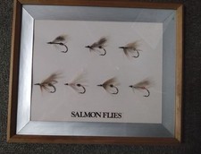 Salmon fry, set of 6, with wooden frame