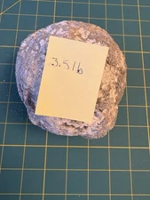 Unopened Natural Geode Estate Sale Find Raw Stone 3.5lb Free Shipping