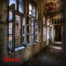 Indoor 10'x10' Computer-painted CP Scenic Photo Background Backdrop SR441B881