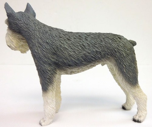 SCHNAUZER, RIESEN, GRAU, STEHEND, GESPRÄCHSKONZEPTE, ARTIKEL DF58A - Bild 4 von 5