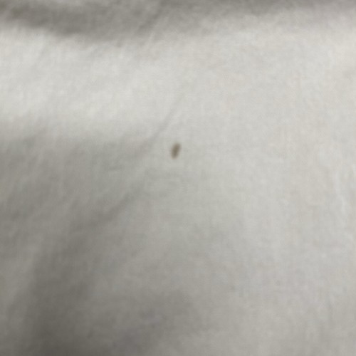 Lululemon Men's 36 Tofino Sand ABC Commission Slim Chino Shorts - Picture 7 of 7