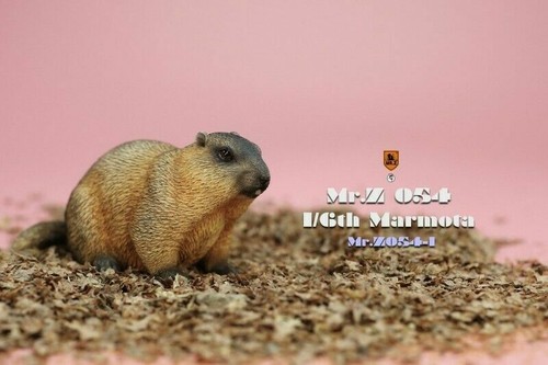 1/6 Mr.Z Scene Props Marmot Animal Statue Guinea Pig Model Fit 12" Figure Doll - Picture 2 of 6