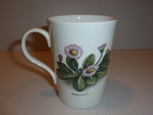 Royal Victorian Staffordshire Mug, Purple/Green Floral Designs