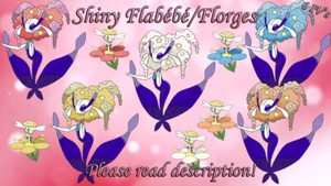 Shiny Flabebe Florges 6 Iv X Y Omega Ruby Alpha Sapphire Sun Moon Us Um Ebay