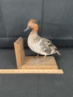 Picture 14 of 15