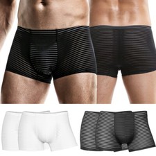 Mens Breathable Ice Silk Boxer Briefs See Through Underwear Compression Trunks