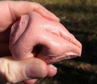 Foto 4 di 4