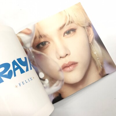 STRAY KIDS] DICON DFESTA MINI EDITION / Photobook Only- Felix