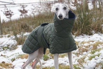 whippet coats for winter