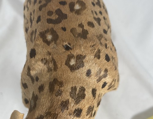 Vtg Leather Wrapped Cheetah Leopard Whiskers Hand Painted Fur Pattern Detailed - Picture 22 of 23