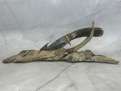 Damascus Skinner Gut Hook 8.5'' Knife Antler Handle + Driftwood Antler Stand