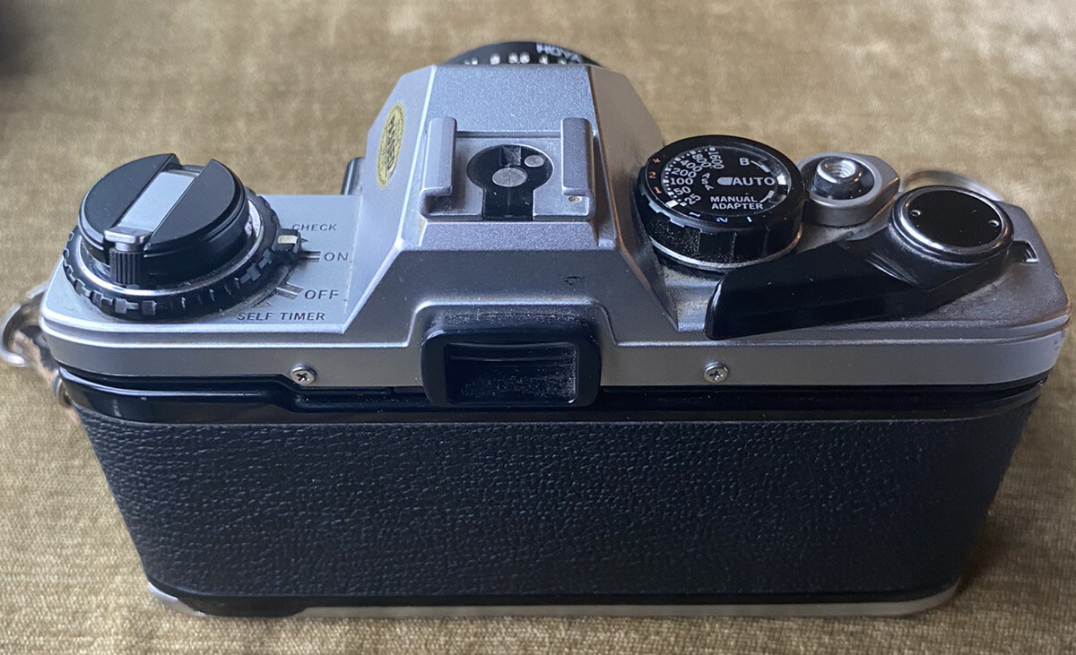 国産瀬戸田レモン農薬不使用 果物 | filmekimi.iksv.org