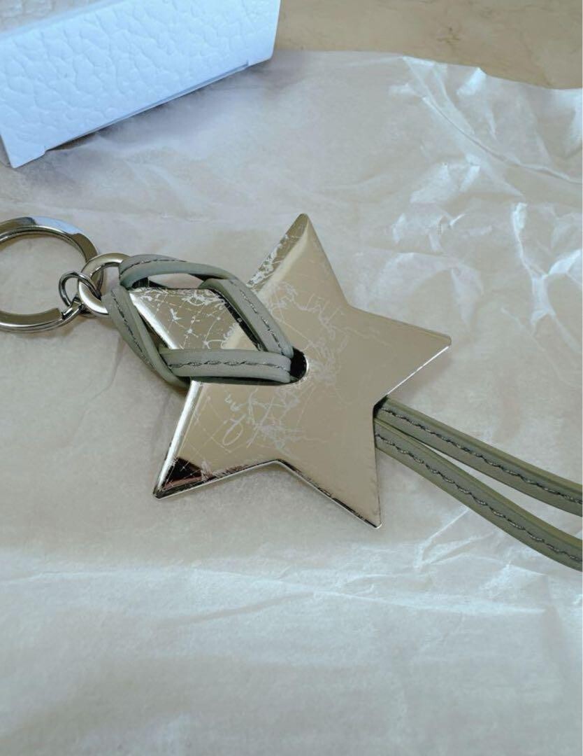 Christian Dior Star Charm Key Chain Strap Key Ring Novelty | eBay