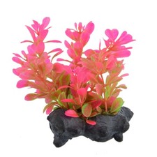 RA Red Moneywort - 3" 4 Pack 