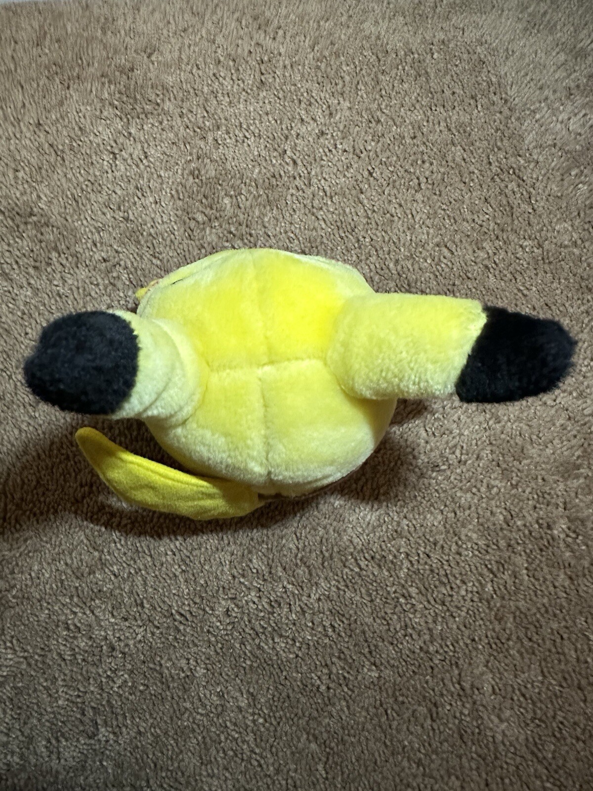 Picture 10 of 11