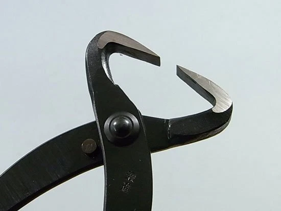 Kaneshin Bonsai Herramientas Tronco Divisor Nº16 210mm Hecho en Japón NUEVO Foto 3 de 4