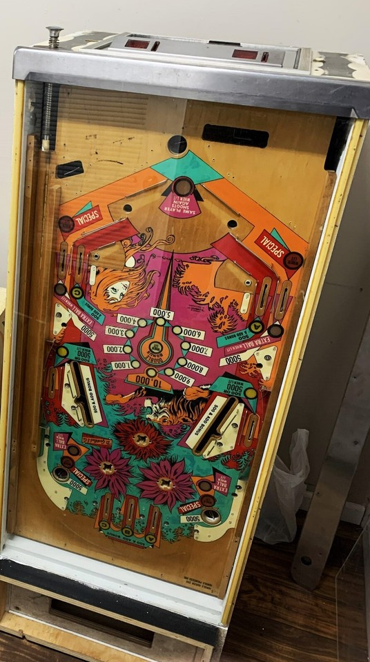 Gottlieb Jungle Princess Pinball Machine Project eBay