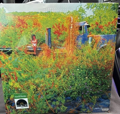 JHENE AIKO Trip USA 2LP Picture Disc Vinyl RSD 2026 x/2000 (SEALED
