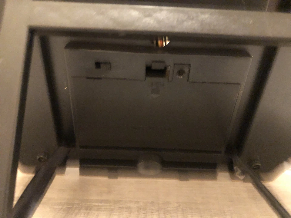 SKINLESS Big Mouth Billy Bass Gemmy w/Free Nameplate - Image 3 of 4