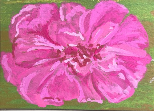 “Pink Peony at Play”, hand-painted floral, OOAK original mixed media  ACEO