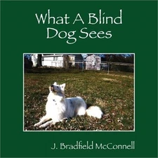 What A Blind Dog Sees (Paperback or Softback)