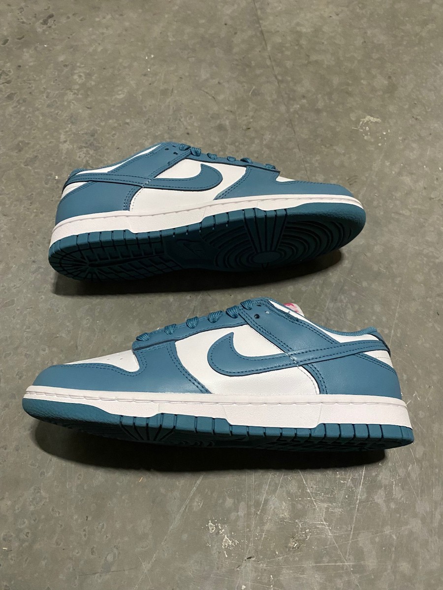 NEW Nike Dunk Low South Beach Noise Aqua Teal SB RARE FJ0739-100