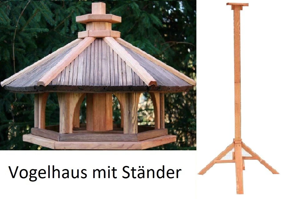 Bild 19 von 31
