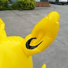 Picture 6 of 9