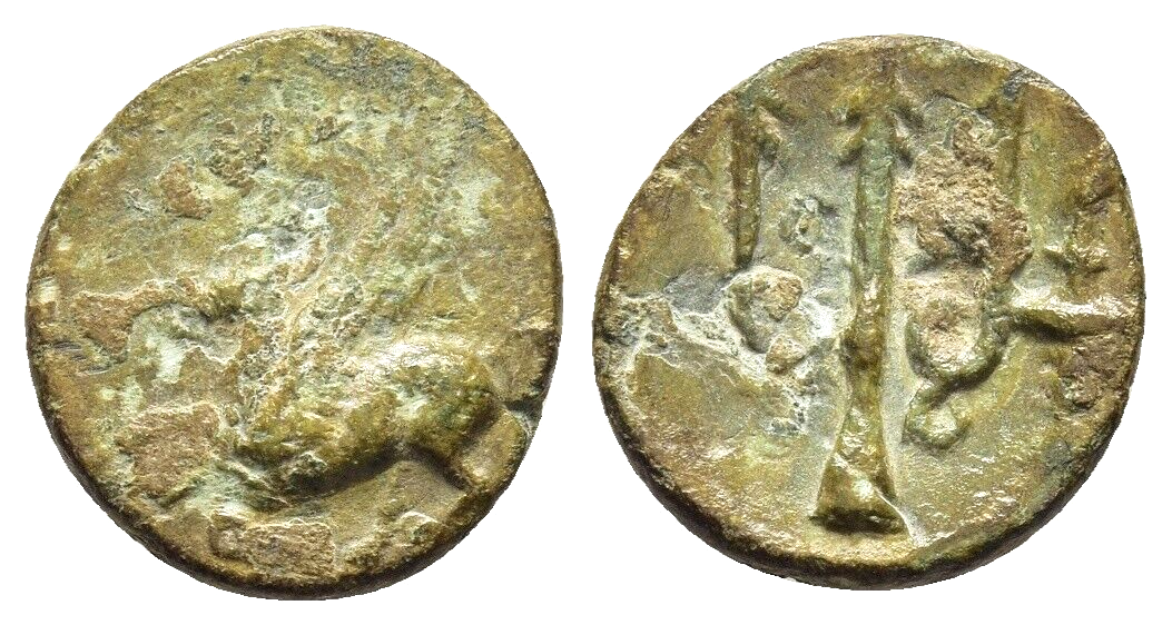 Foto 1 di 1