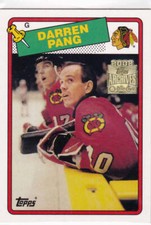 Topps Archives Hockey 2002-03 Chicago Black Hawks #47 Darren Pang