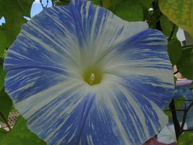 Bild 3 von 5