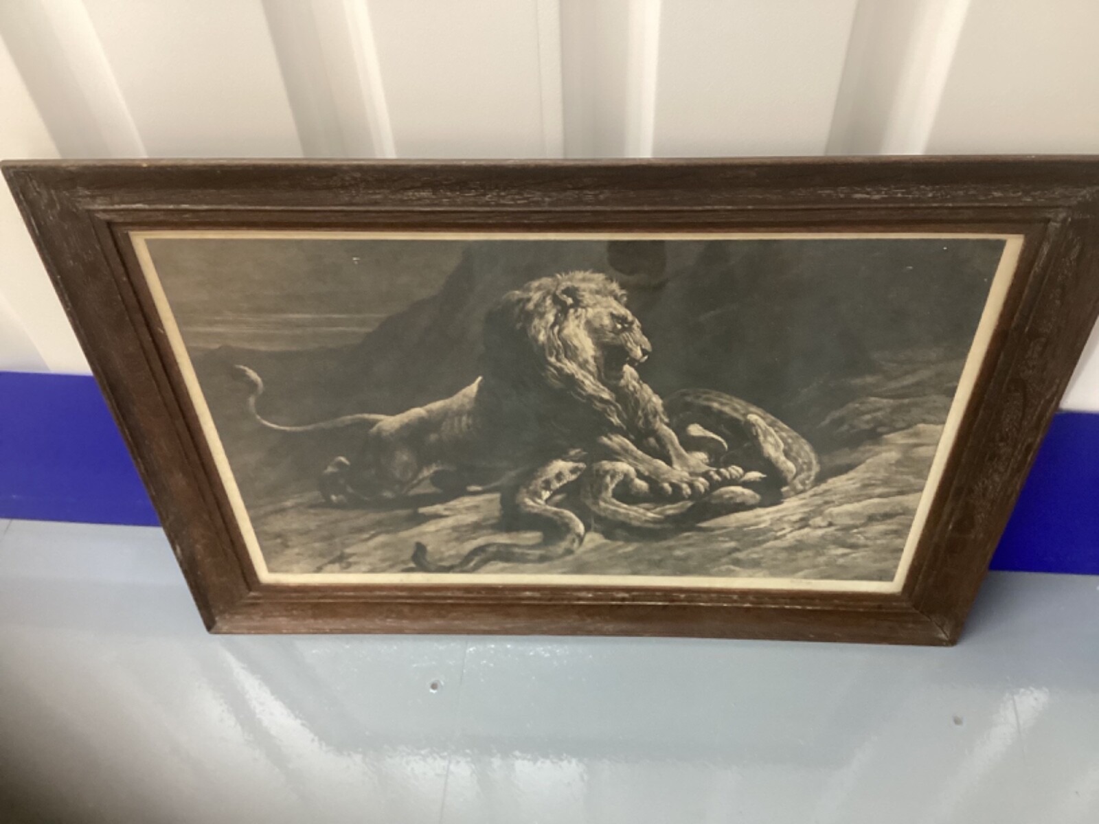 Picture 14 of 14