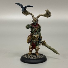 1 Lord Of The Feast Circle Of Orboros Warmachine Hordes Bemalte Metallminiatur