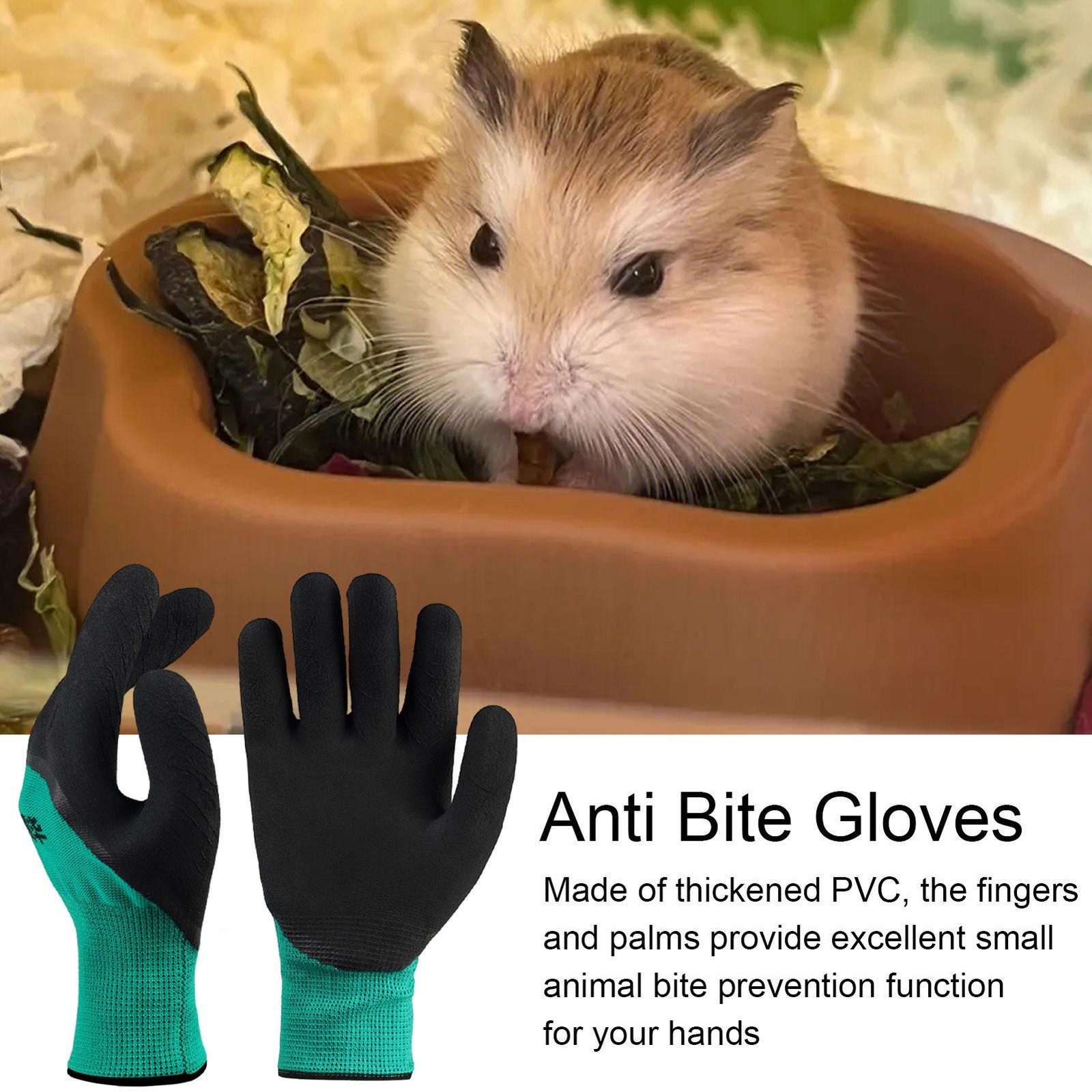 Training Anti-Bite Gloves Animal Handling Chew Protective Gloves Dog Cat Parrot