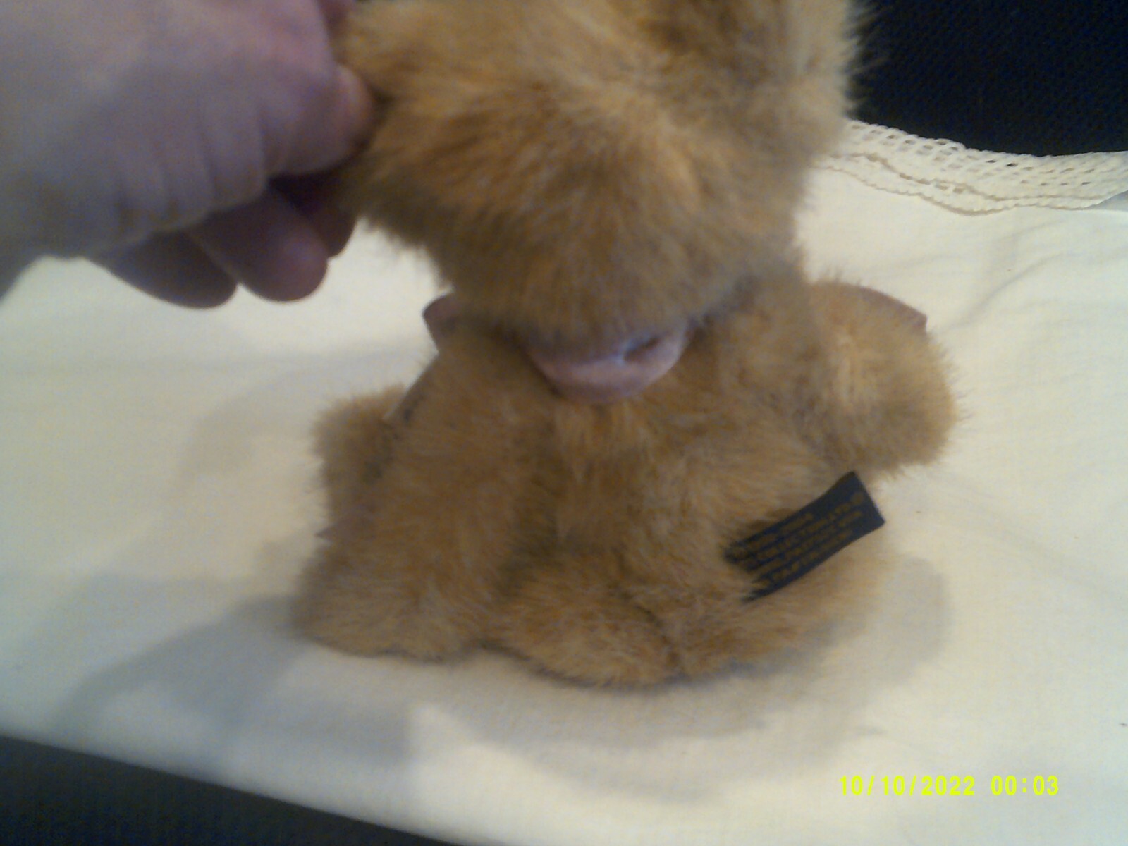 Bild 3 von 3