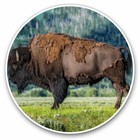 2 x Vinyl Stickers 30cm - American Bison Yellowstone USA Cool Gift #15562