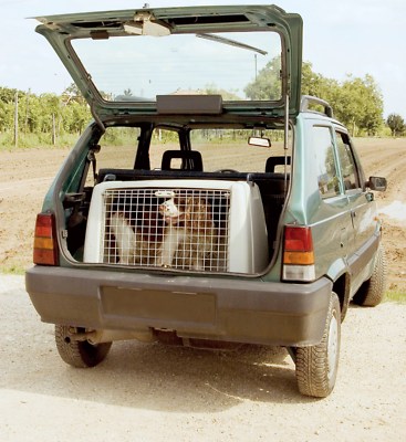 argo dog carrier
