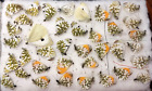 Lepidoptera, Pieridae, Set 38 pcs, from Ukraine, euchloe ausonia and other