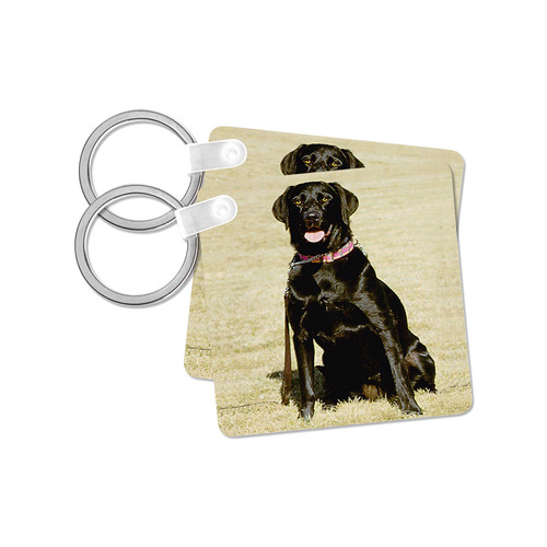3dRose, Labrador Retriever, Key Chain